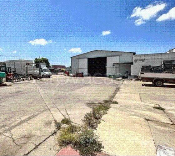 immagine annuncio 12 di 13