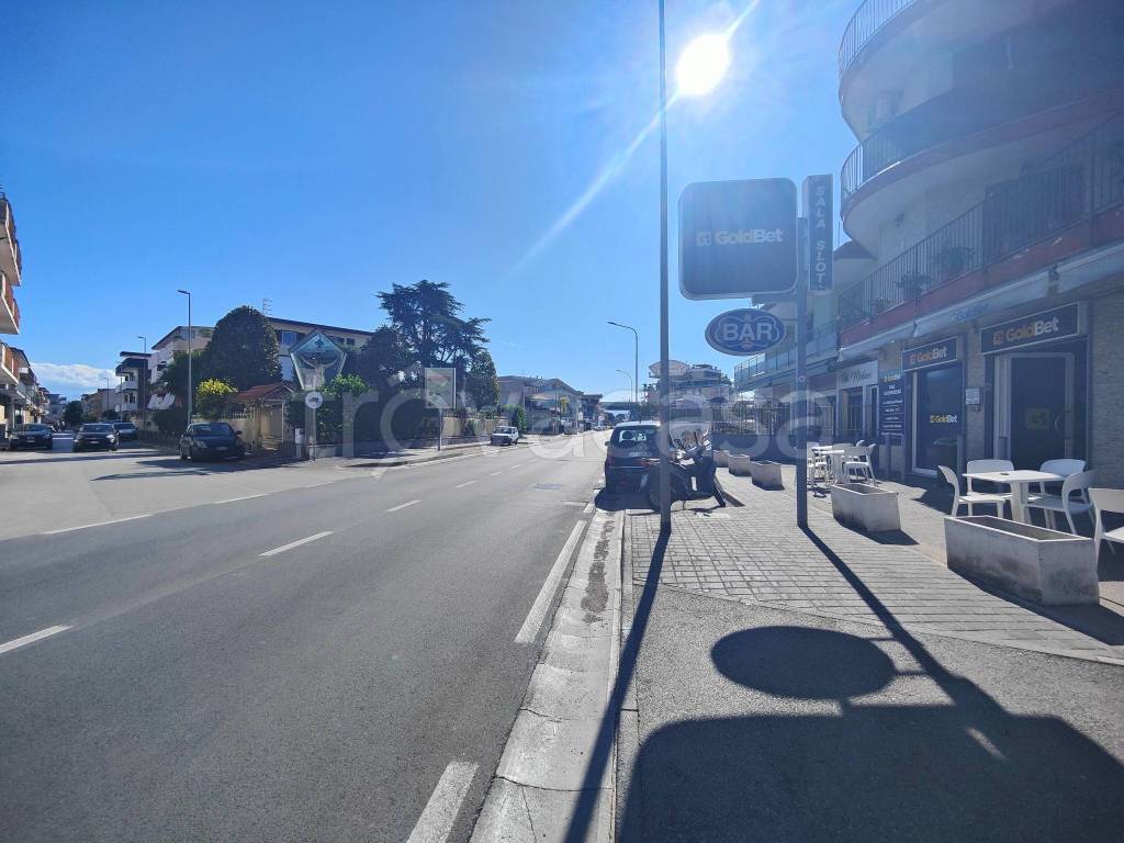 immagine annuncio 4 di 7