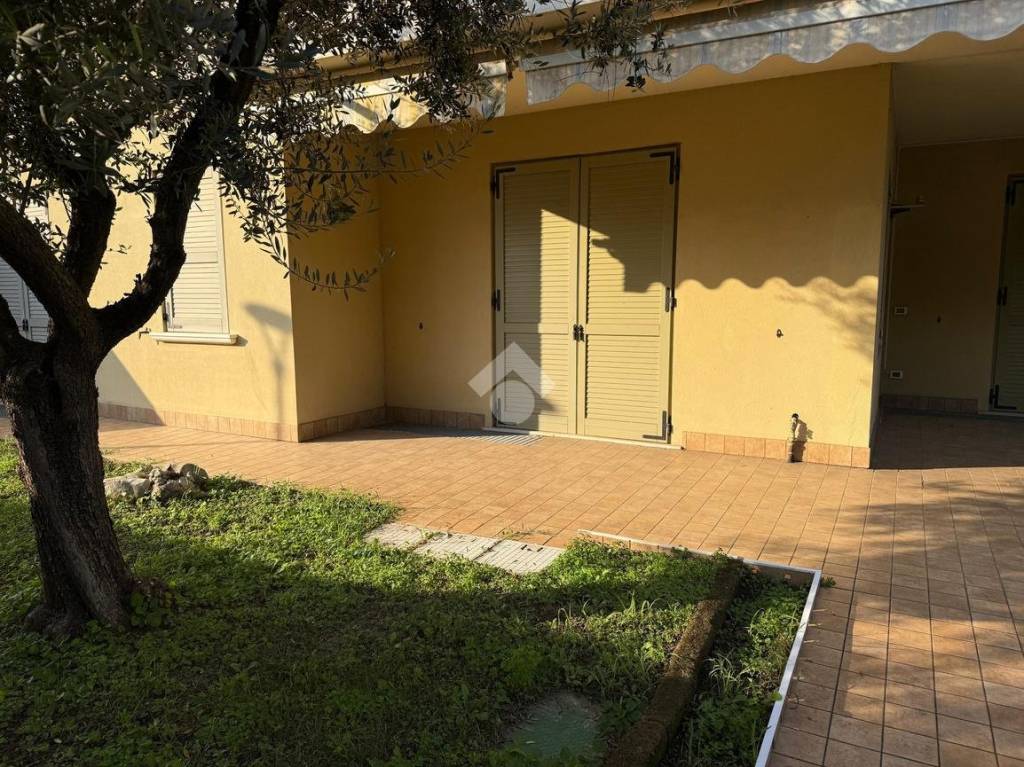 immagine annuncio 1 di 15