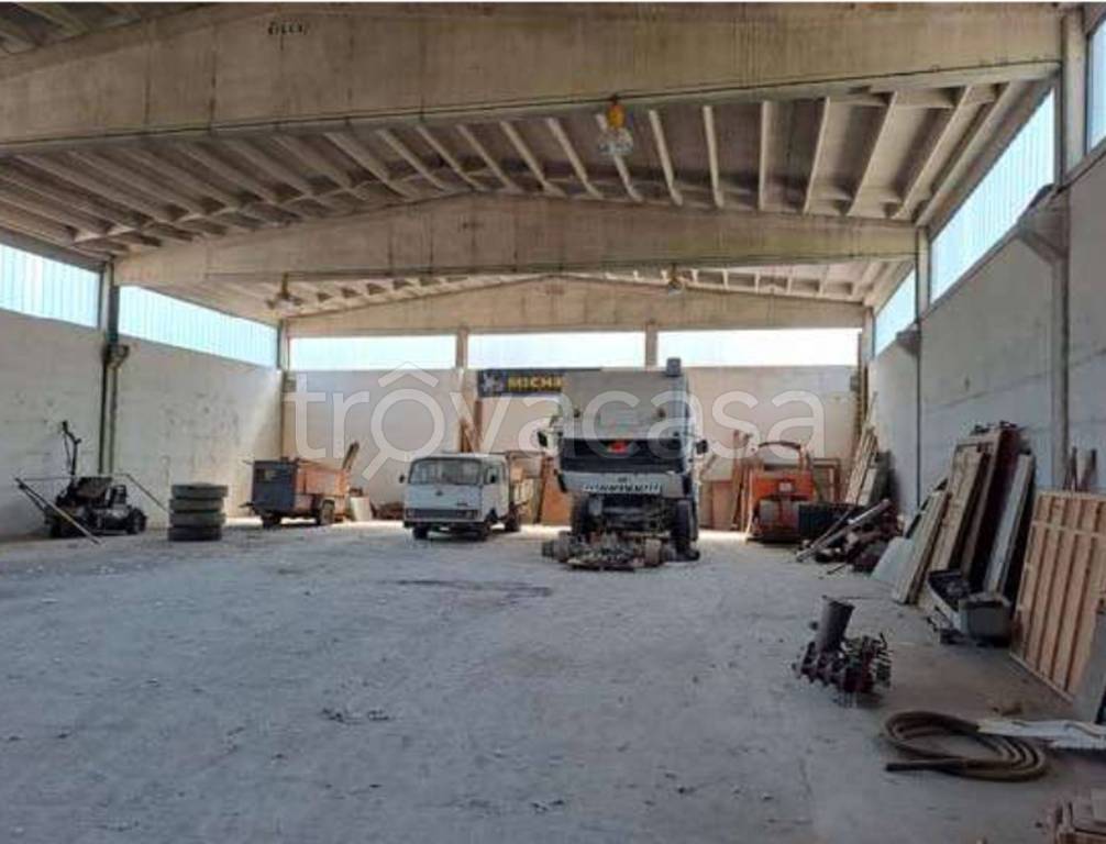 immagine annuncio 3 di 13