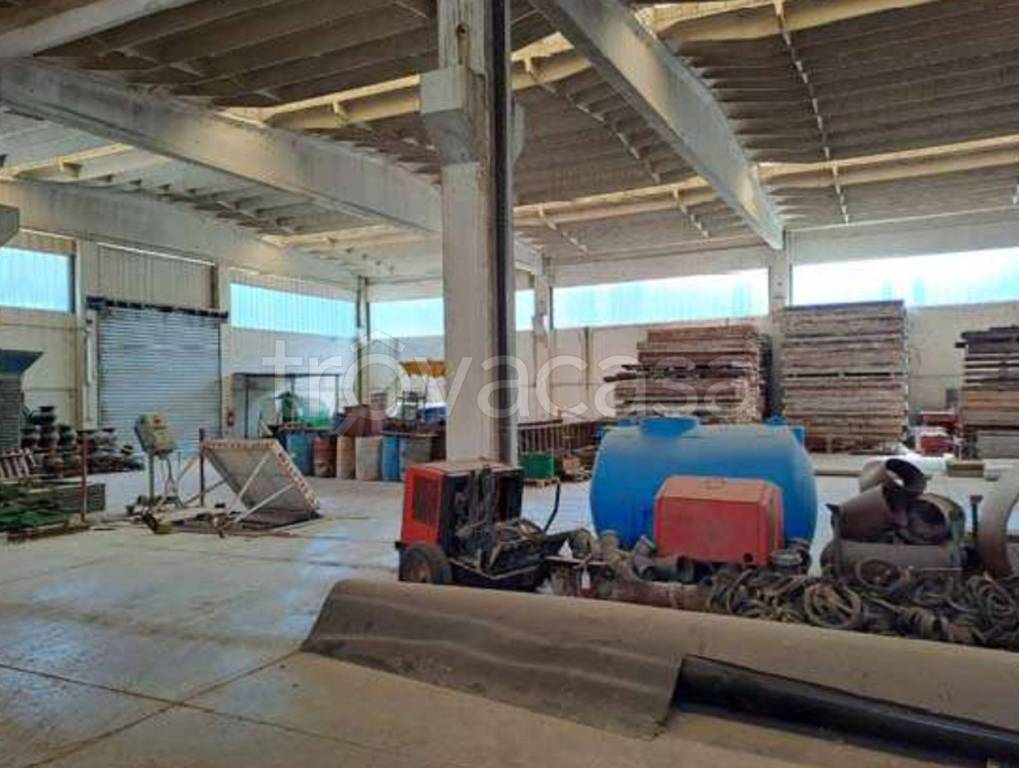 immagine annuncio 7 di 13