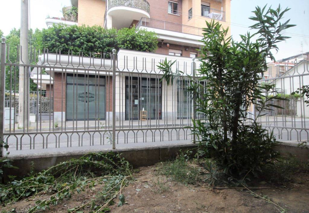 immagine annuncio 3 di 11