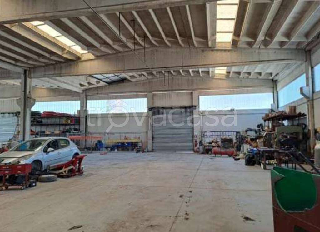 immagine annuncio 12 di 13