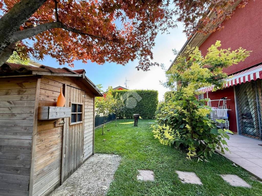 immagine annuncio 3 di 15