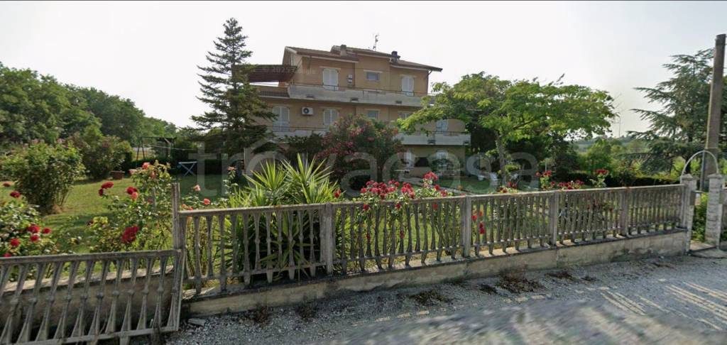 immagine annuncio 2 di 13