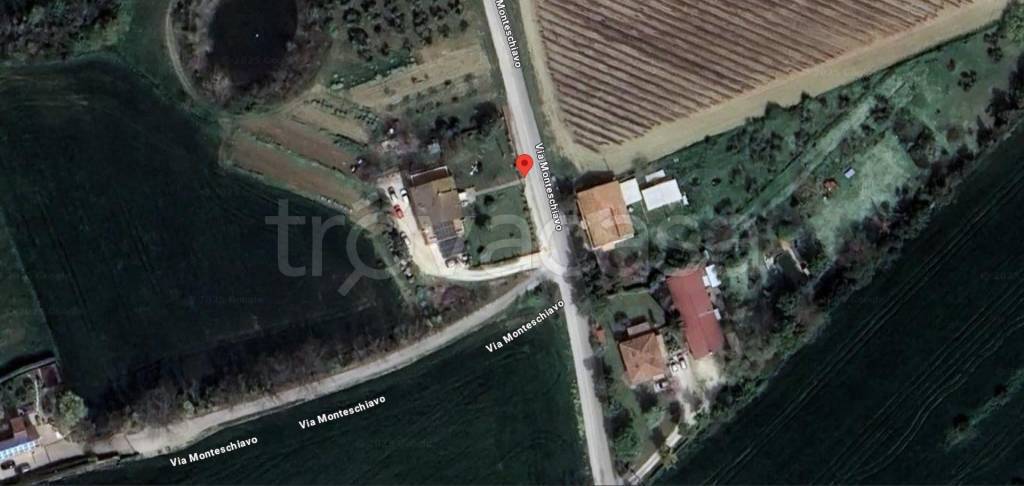 immagine annuncio 12 di 13