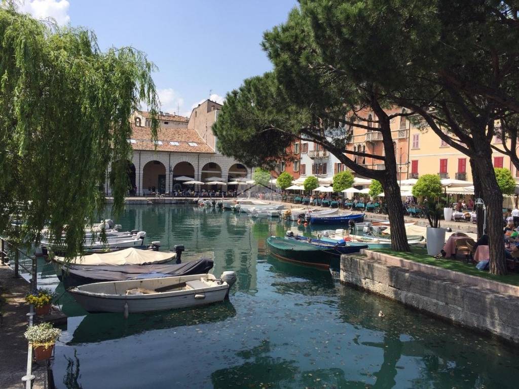 immagine annuncio 6 di 10