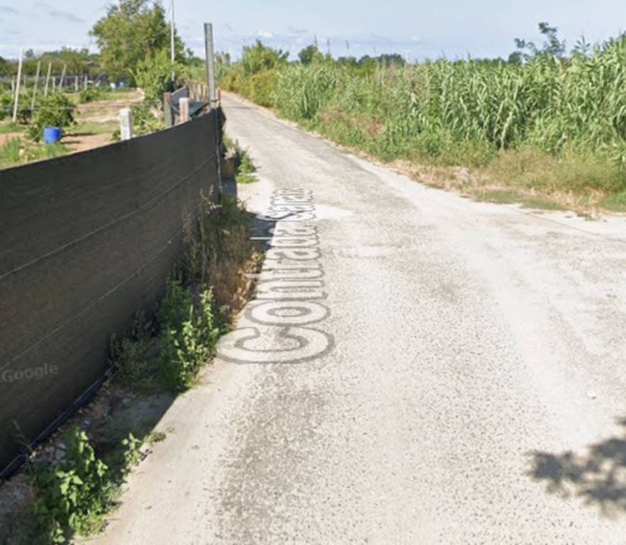 immagine annuncio 2 di 12