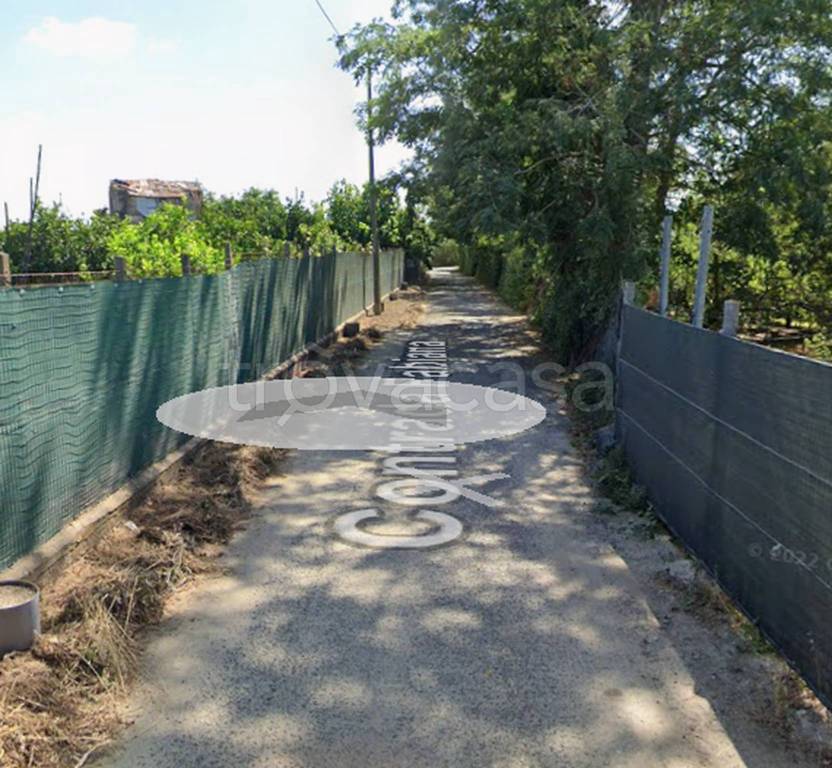 immagine annuncio 10 di 12