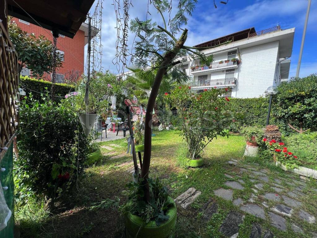 immagine annuncio 2 di 15