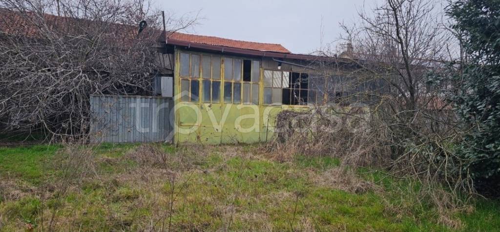 immagine annuncio 5 di 7