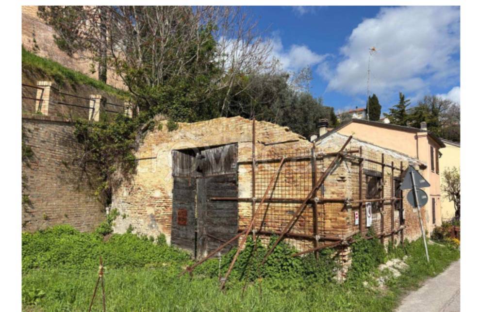 immagine annuncio 2 di 11