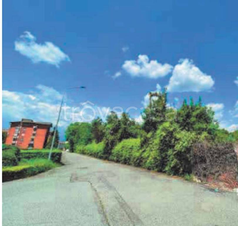 immagine annuncio 7 di 13