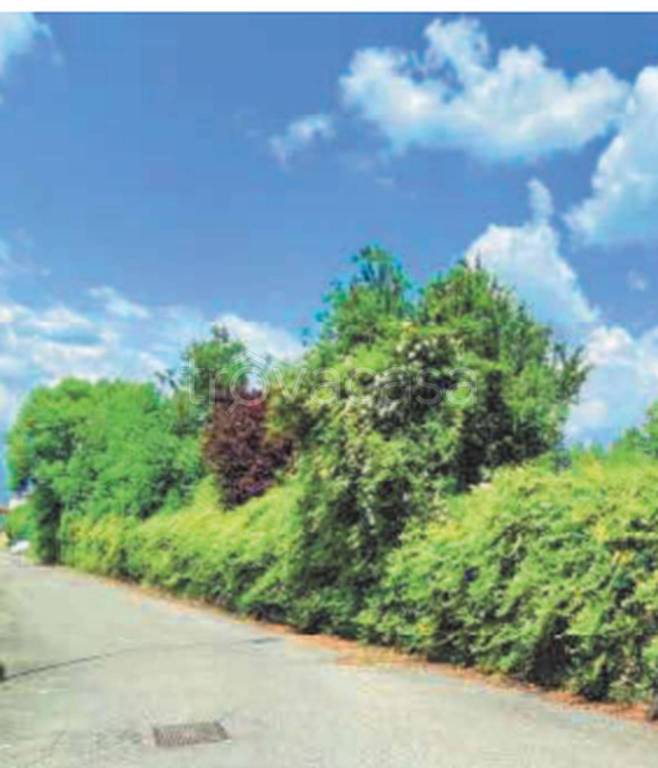 immagine annuncio 9 di 13