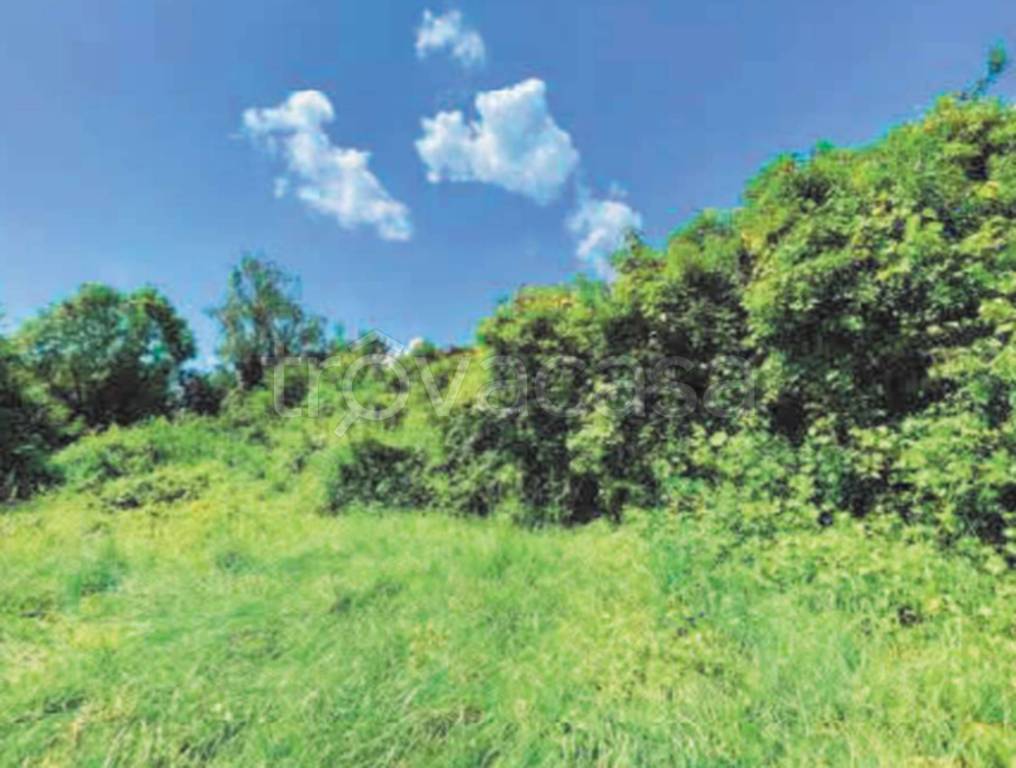 immagine annuncio 11 di 13