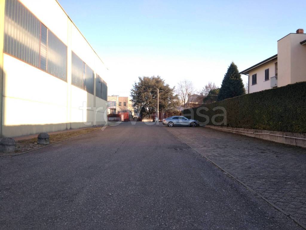 immagine annuncio 6 di 15
