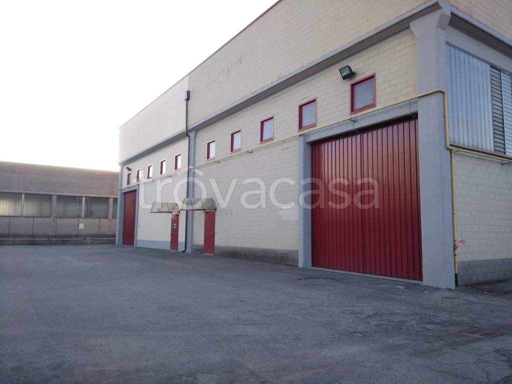 immagine annuncio 8 di 15