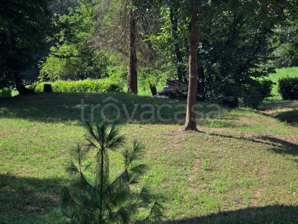 immagine annuncio 5 di 13