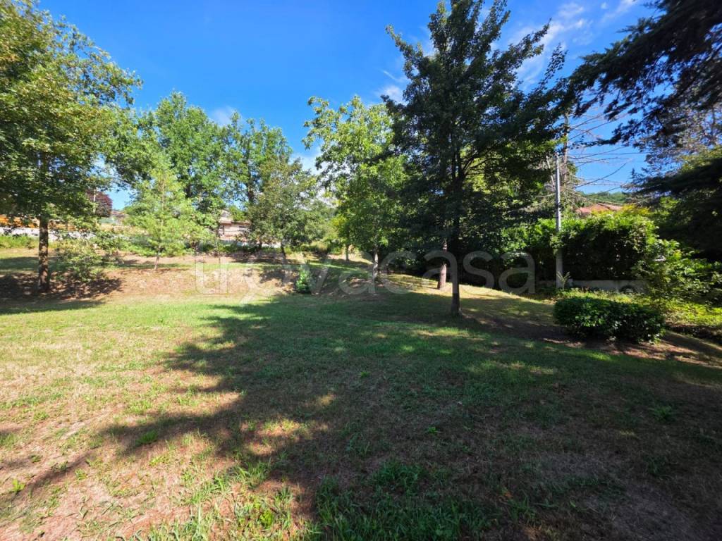 immagine annuncio 8 di 13