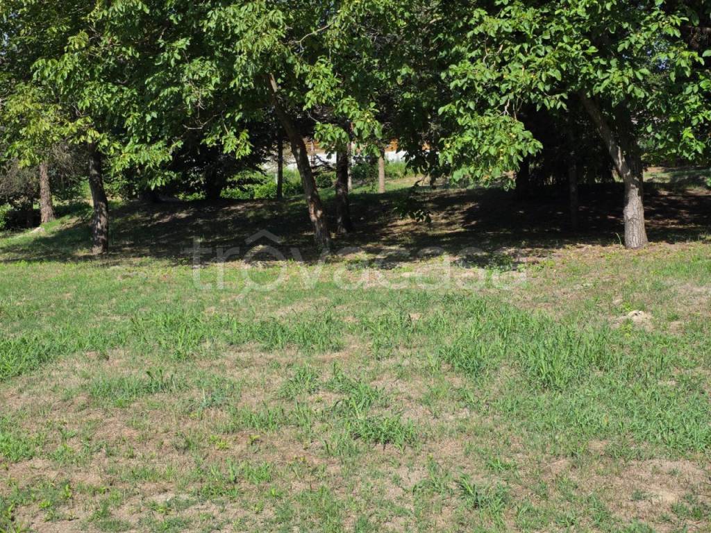 immagine annuncio 10 di 13