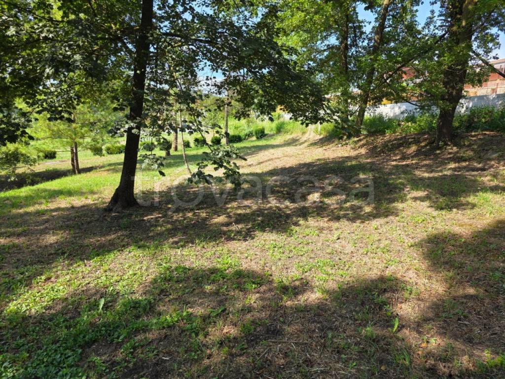 immagine annuncio 11 di 13