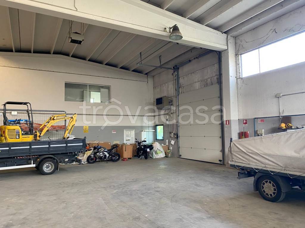 immagine annuncio 9 di 15