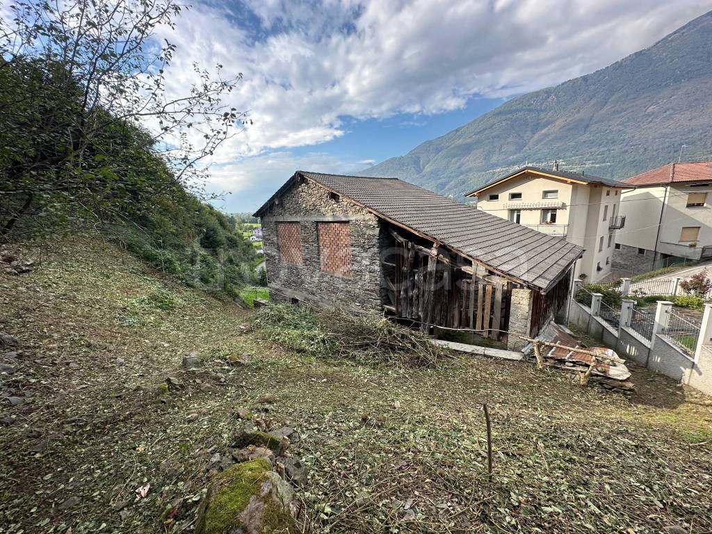 immagine annuncio 6 di 15