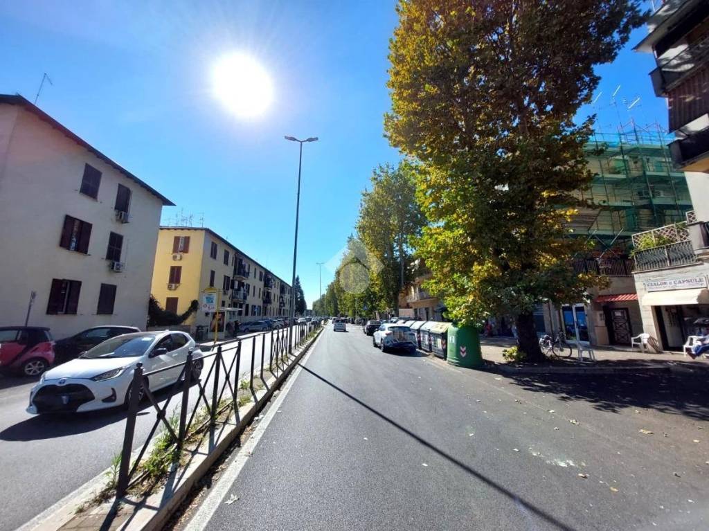 immagine annuncio 1 di 12
