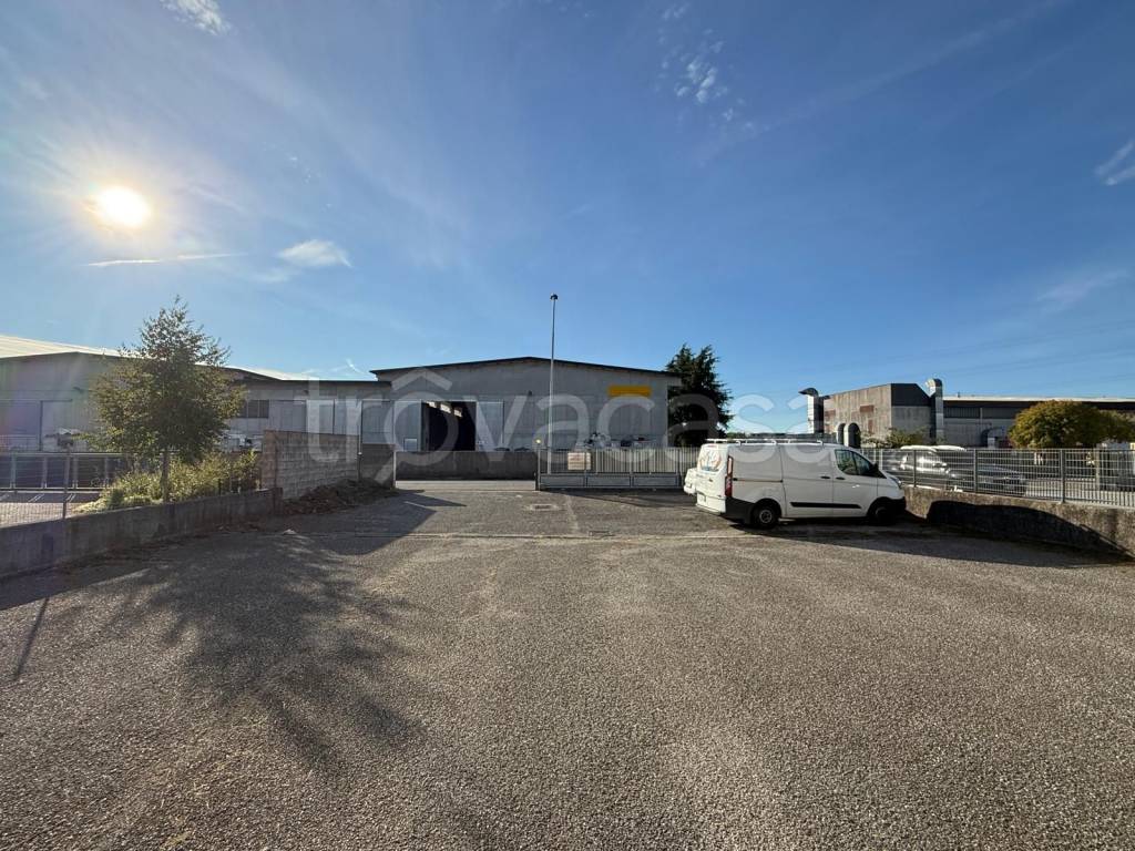 immagine annuncio 5 di 9