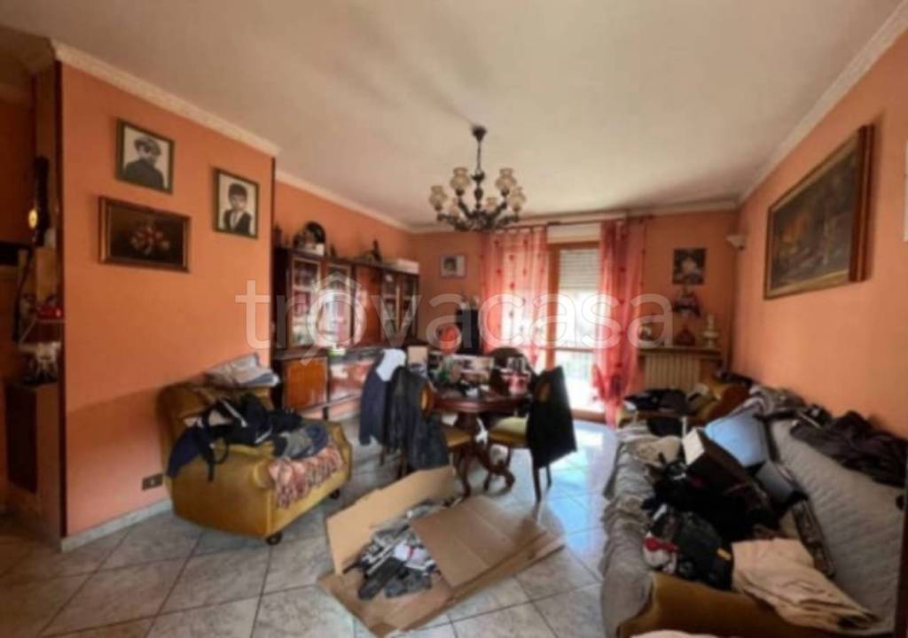 immagine annuncio 12 di 13