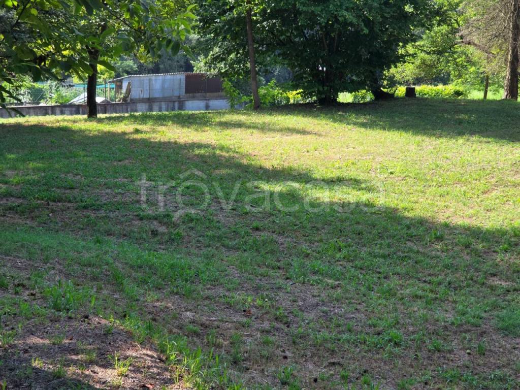 immagine annuncio 3 di 13