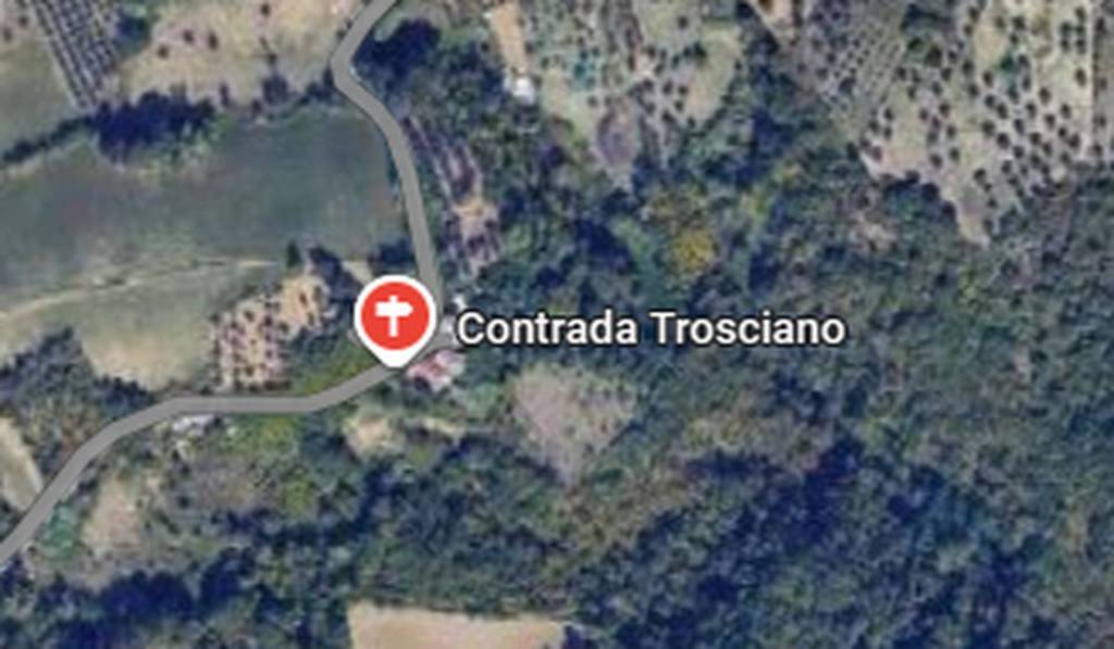 immagine annuncio 8 di 11