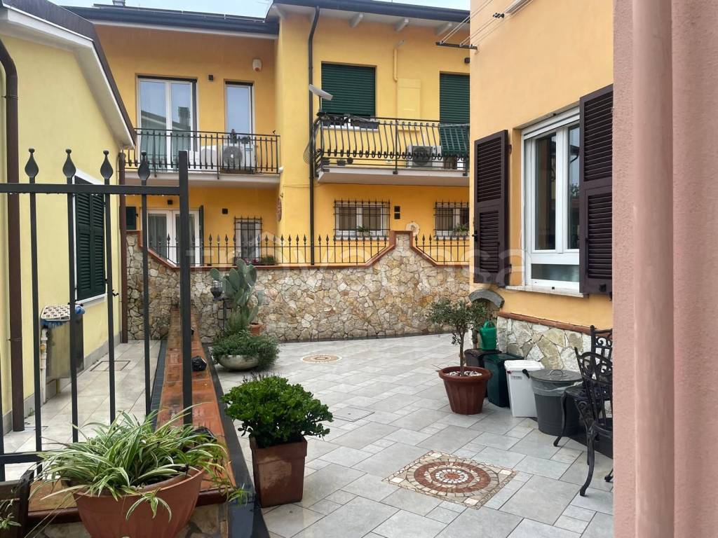 immagine annuncio 5 di 15