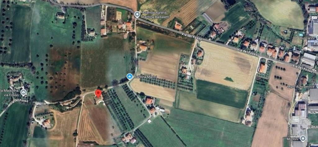 immagine annuncio 2 di 12