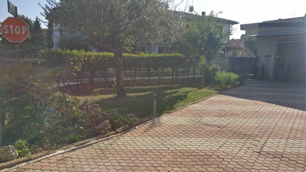 immagine annuncio 12 di 15