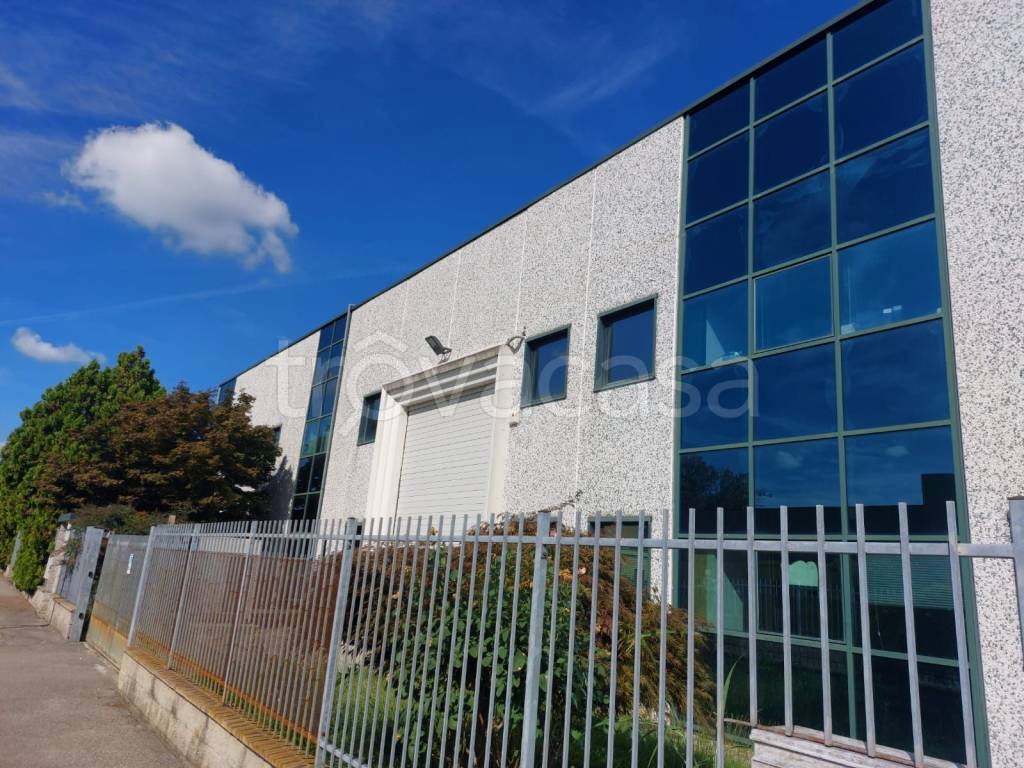 immagine annuncio 1 di 11