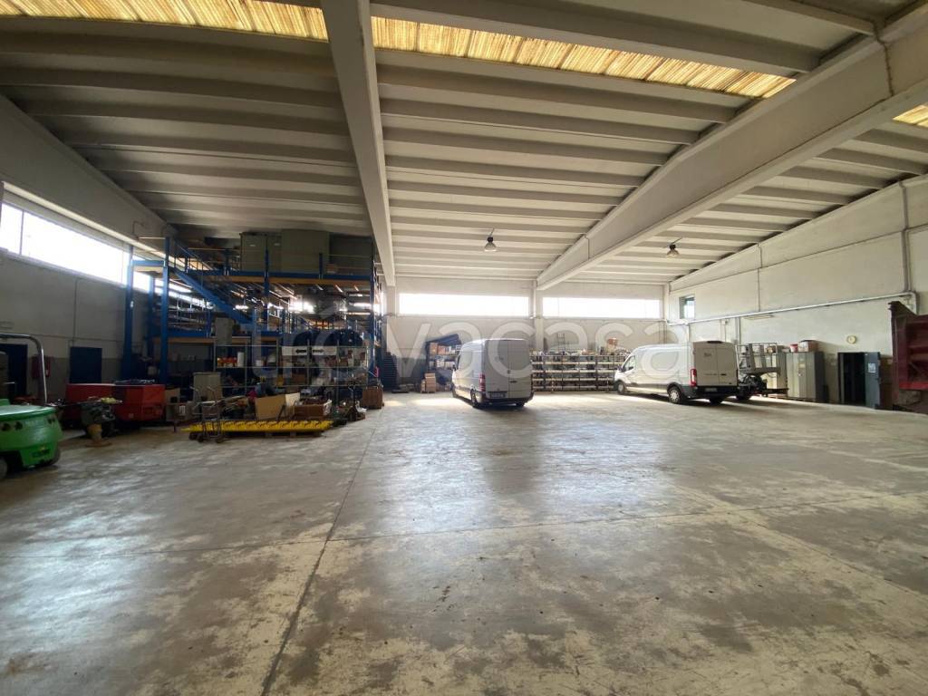 immagine annuncio 6 di 11