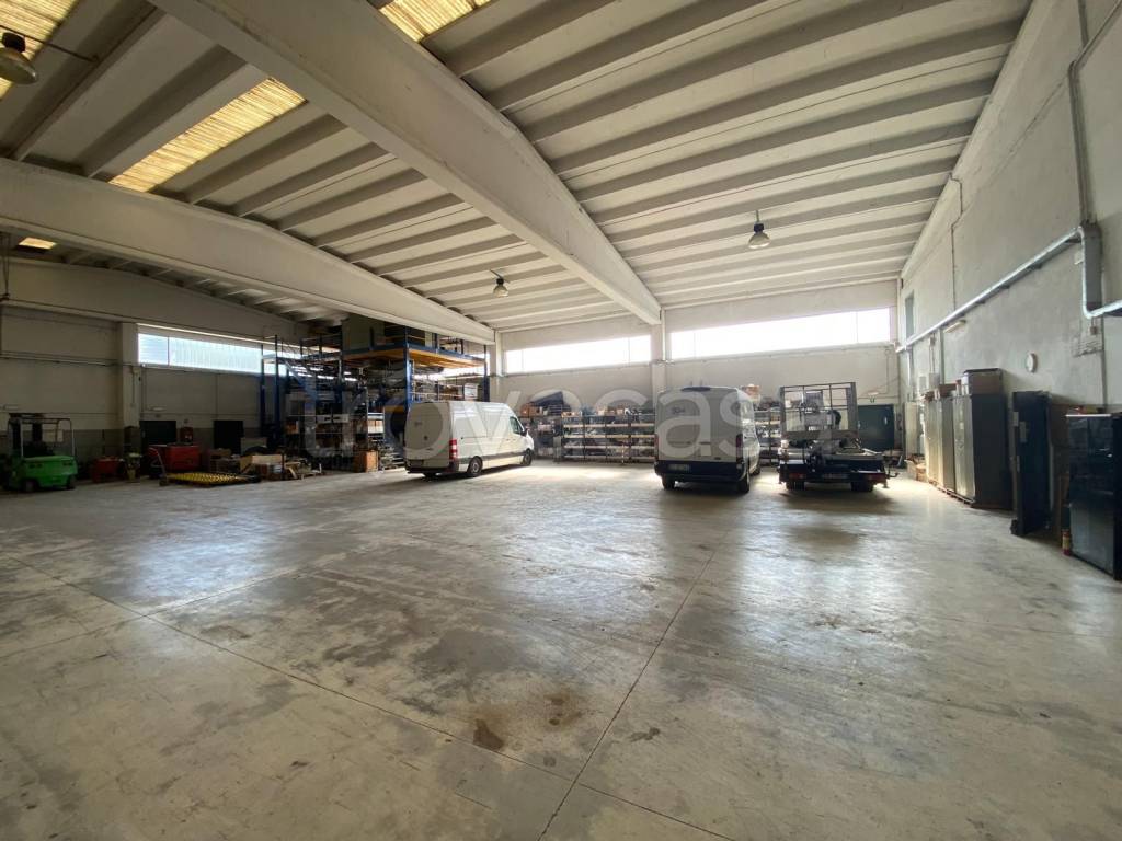 immagine annuncio 7 di 11