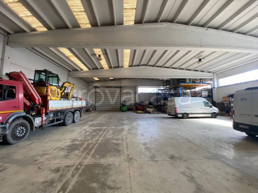 immagine annuncio 9 di 11