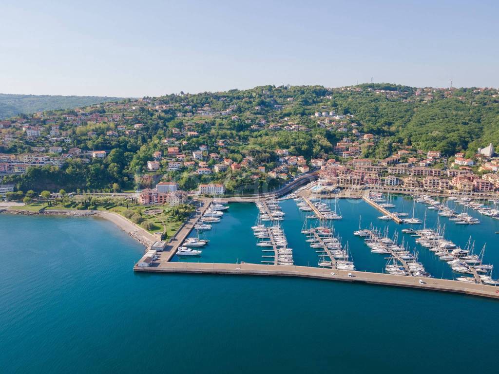 immagine annuncio 10 di 11