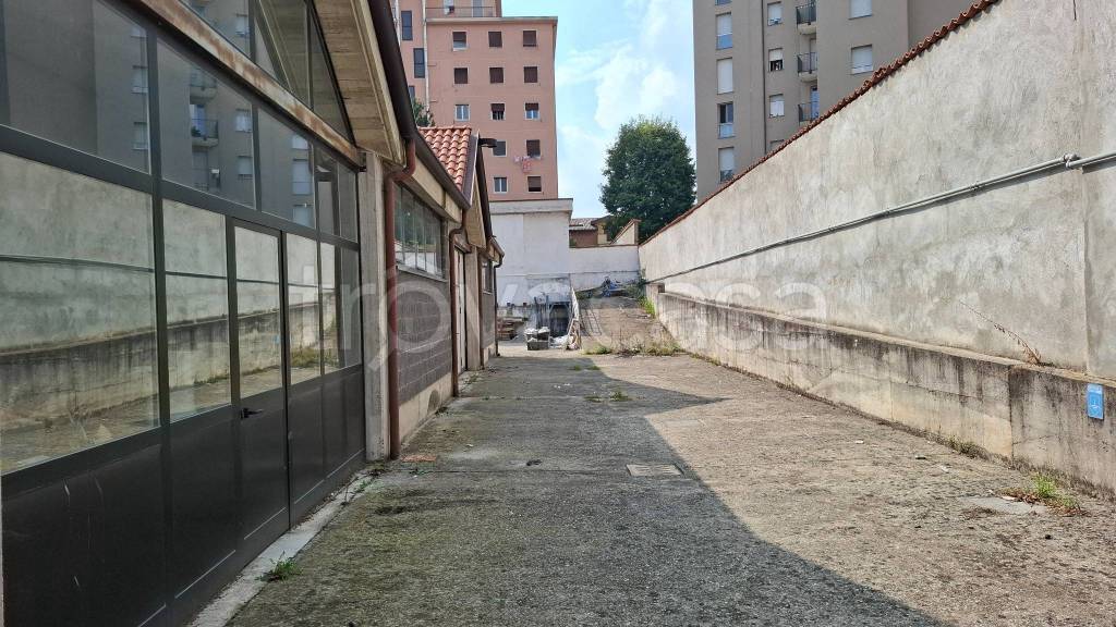 immagine annuncio 6 di 14