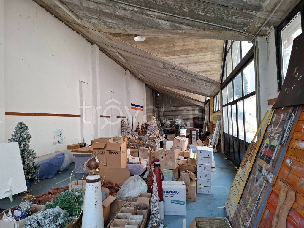 immagine annuncio 5 di 14