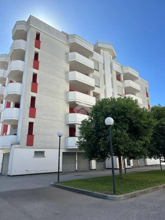 immagine annuncio 2 di 14