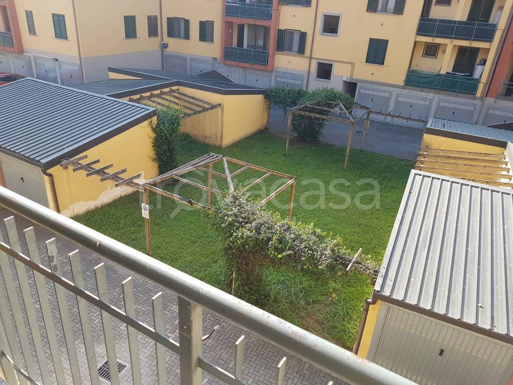 immagine annuncio 11 di 15