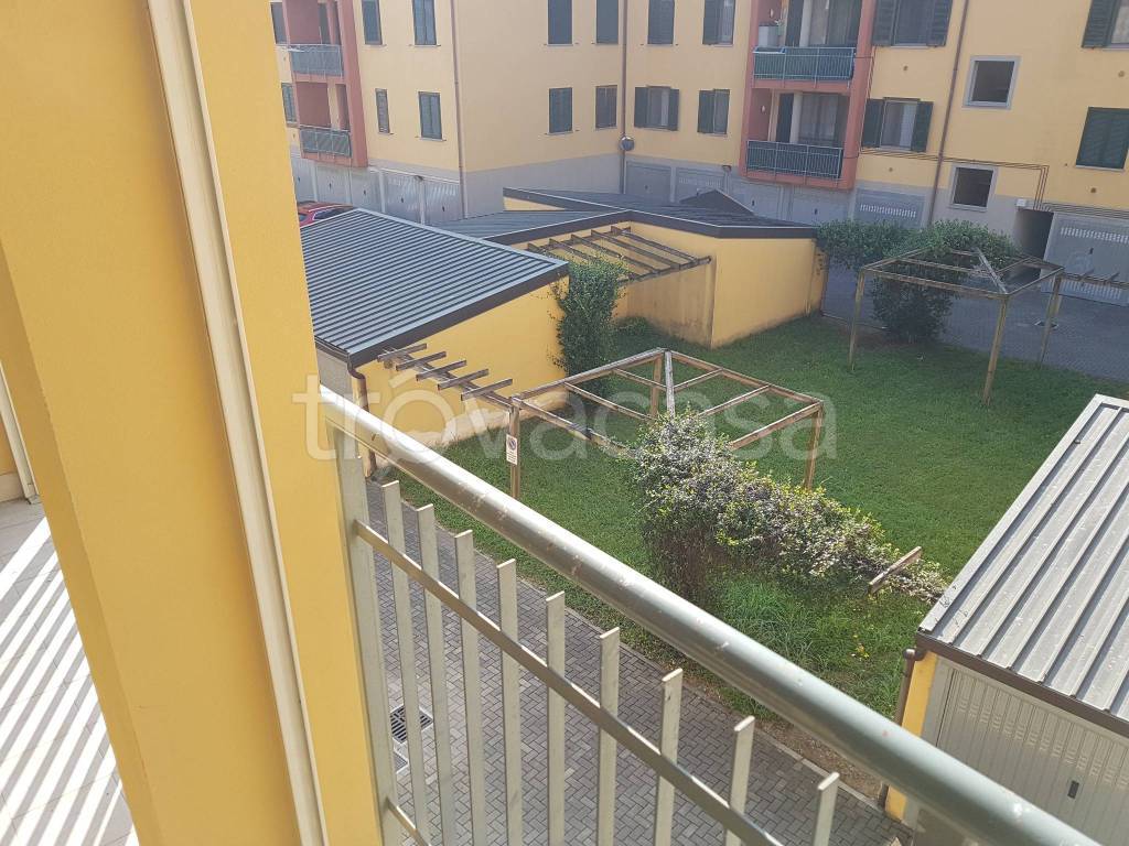 immagine annuncio 12 di 15