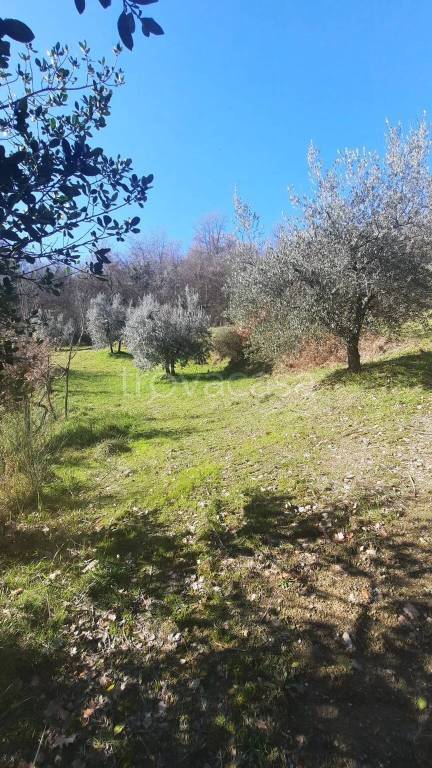 immagine annuncio 6 di 13