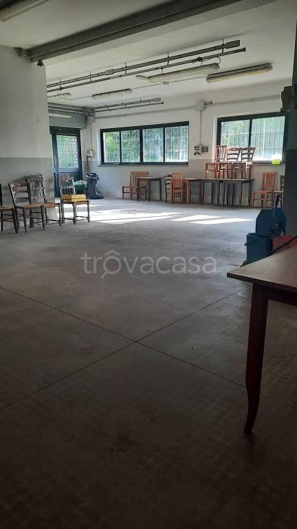 immagine annuncio 2 di 13