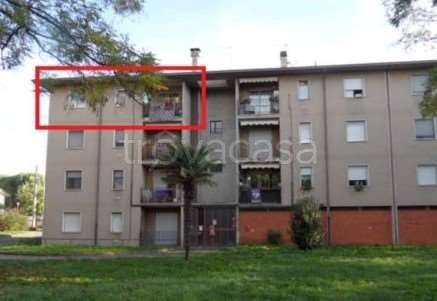 immagine annuncio 6 di 8