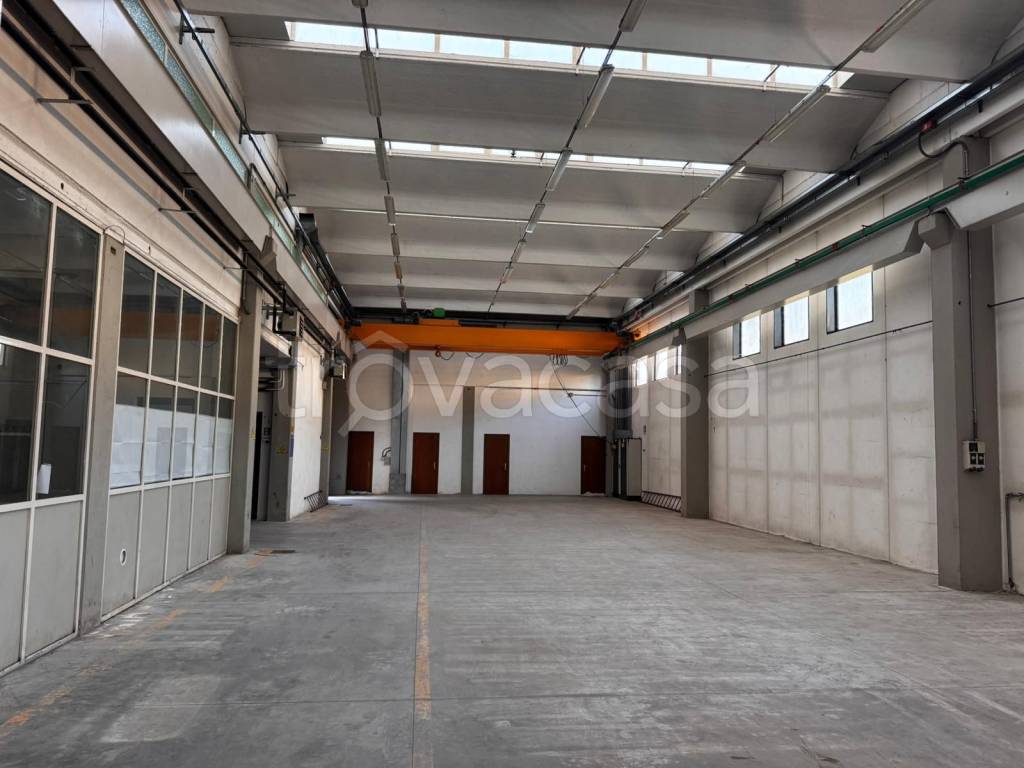 immagine annuncio 7 di 11