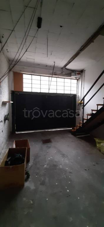 immagine annuncio 12 di 13